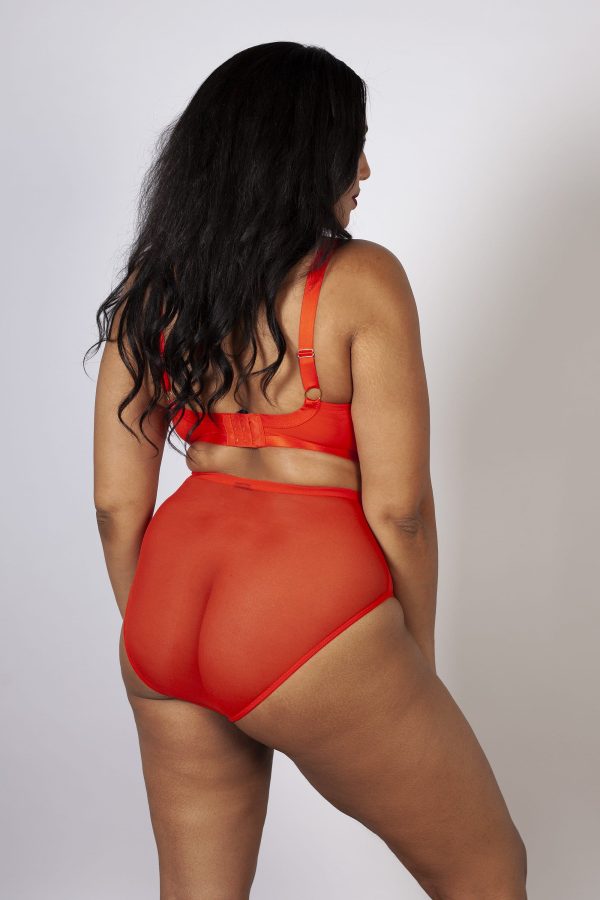 Lyla Flame Strappy High Waist Brief Hot on Sale