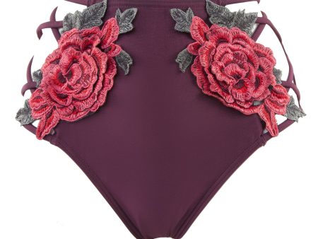 Peek & Beau Applique & Mesh Lattice Brief Online Hot Sale