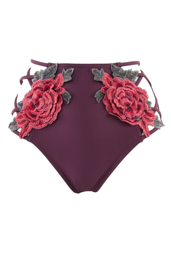 Peek & Beau Applique & Mesh Lattice Brief Online Hot Sale