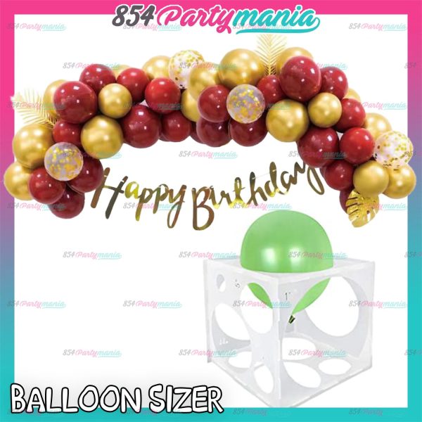 BALLOON SIZER Online Sale