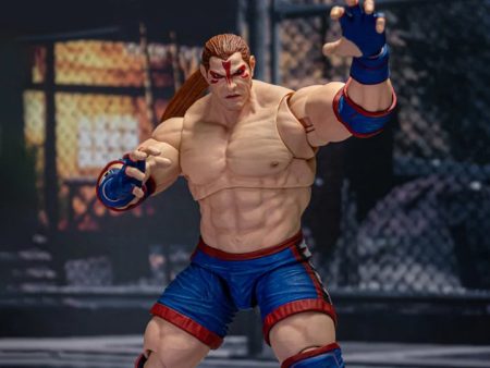 Virtua Fighter 5 Wolf Hawkfield 1 12 Scale Action Figure Discount