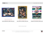 Panini - 2024 Prizm WWE Wrestling Under Card - Hobby Box Hot on Sale