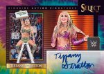 Panini - 2024 Select WWE - Hobby Box For Discount